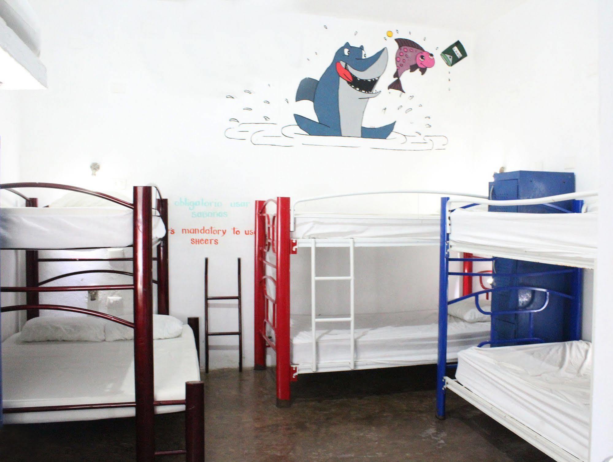 Hostal Vive La Vida Playa del Carmen Esterno foto
