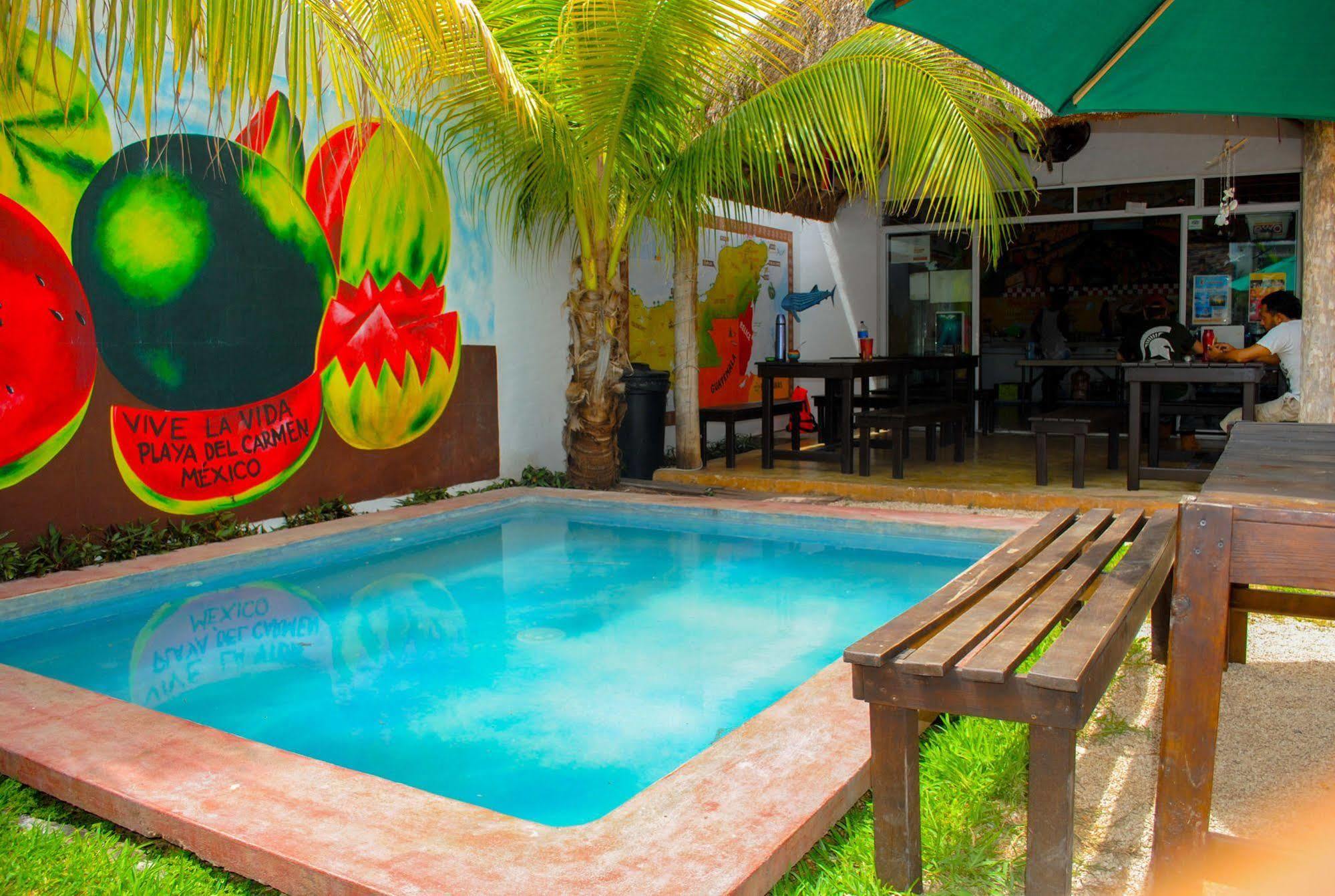 Hostal Vive La Vida Playa del Carmen Esterno foto