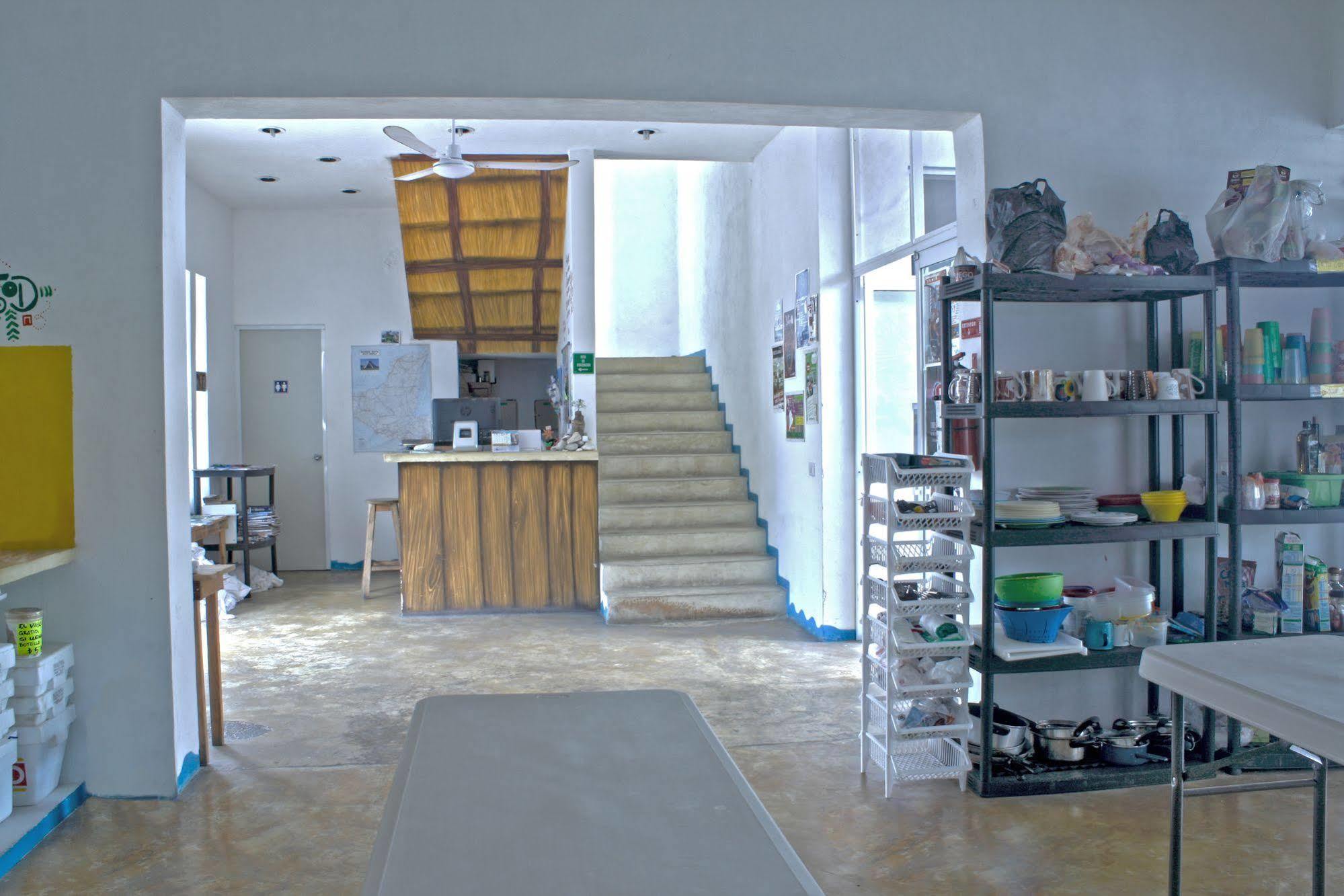 Hostal Vive La Vida Playa del Carmen Esterno foto